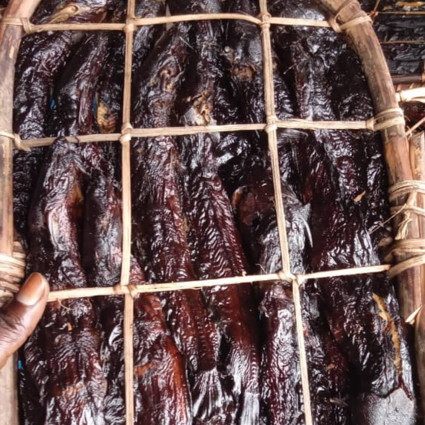 Ngolo - Catfish (cut) 300g